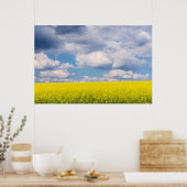 Canola Field and Clouds Poster (Küche)