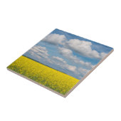 Canola Field & Clouds Fliese (Seite)
