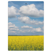 Canola Field & Clouds Klemmbrett (Rückseite)