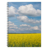 Canola Field & Clouds Notizblock (Vorderseite)