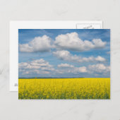 Canola Field & Clouds Postkarte (Vorne/Hinten)