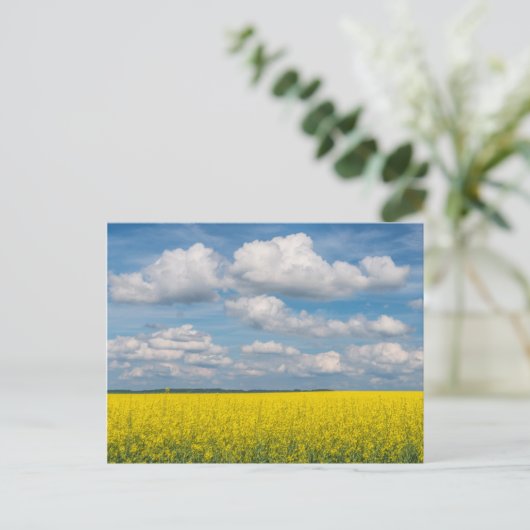 Canola Field & Clouds Postkarte (Stehend Vorderseite)