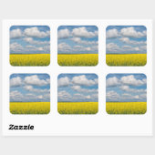 Canola Field & Clouds Quadratischer Aufkleber (Blatt)