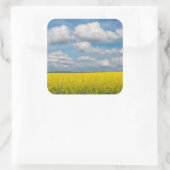 Canola Field & Clouds Quadratischer Aufkleber (Tasche)
