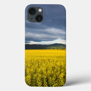Canola field in morning light in the Flathead Case-Mate iPhone Hülle