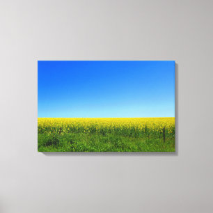 Canola Fields Leinwanddruck