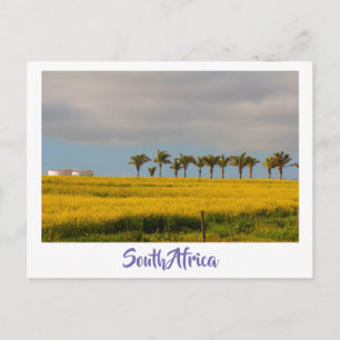 Canola Fields South Africa Landscard Postkarte