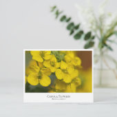 Canola Flowers Postkarte (Stehend Vorderseite)