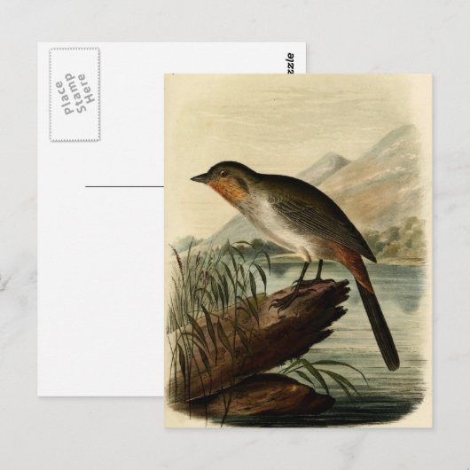 Canon Finch Postkarte (Vorne/Hinten)