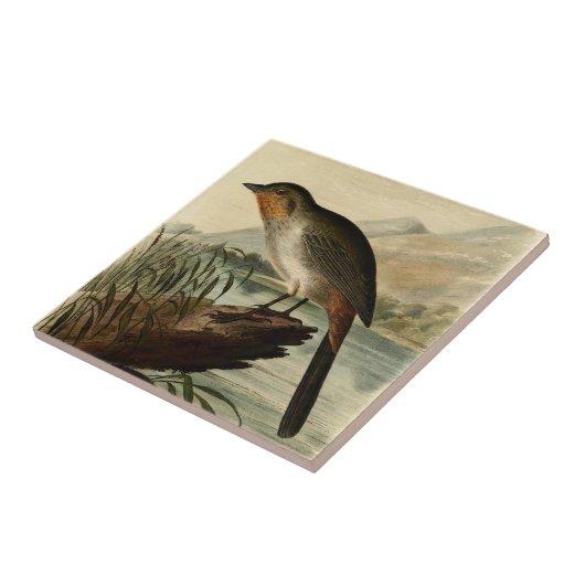 Canon-Fink Fliese (Seite)