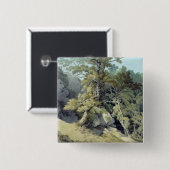 Canonteign, Devon Button (Vorne & Hinten)