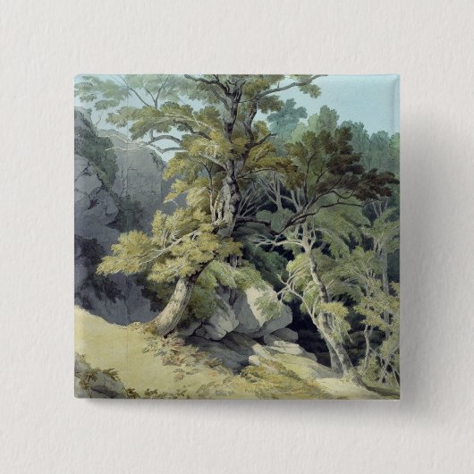 Canonteign, Devon Button (Vorderseite)