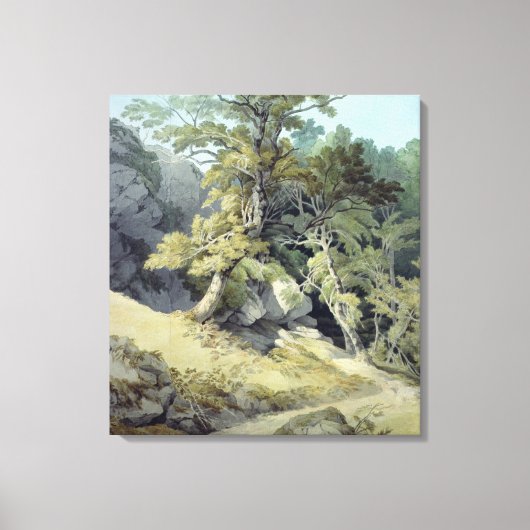 Canonteign, Devon Leinwanddruck (Vorderseite)