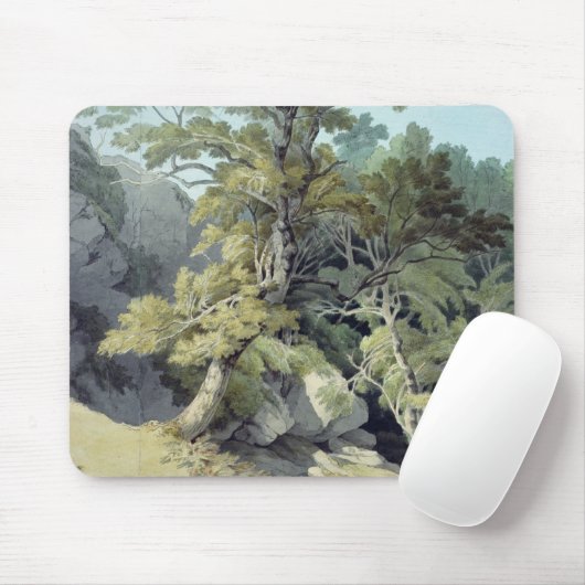 Canonteign, Devon Mousepad (Mit Mouse)
