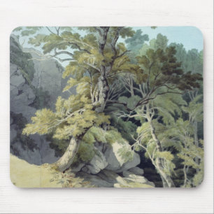 Canonteign, Devon Mousepad