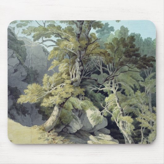 Canonteign, Devon Mousepad (Vorne)