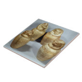 Canopic Gläser Hor-ir-Om, Saite (Alabaster) Fliese (Seite)