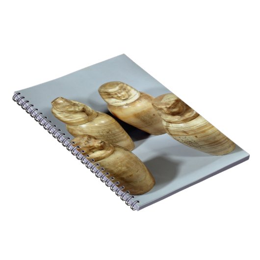 Canopic Gläser Hor-ir-Om, Saite (Alabaster) Notizblock (Rechte Seite)