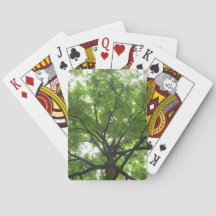 Canopy Cards