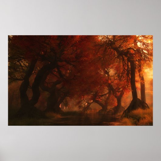 Canopy Creek (Herbst) Poster (Vorne)