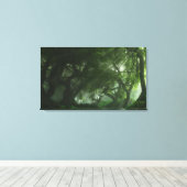 Canopy Creek (Sommer) überzogene Canvas Leinwanddruck (Insitu (Holzboden))