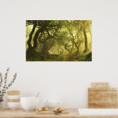 Canopy Creek Spring Poster (Küche)