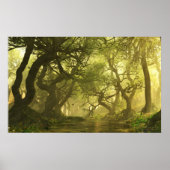 Canopy Creek Spring Poster (Vorne)