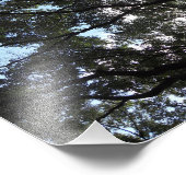 Canopy Fotodruck (Ecke)