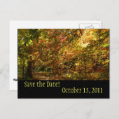 Canopy Herbstlaube Save the Date Postkarte (Vorne/Hinten)