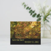 Canopy Herbstlaube Save the Date Postkarte (Stehend Vorderseite)