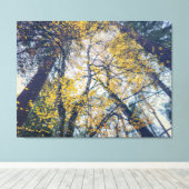 Canopy Leinwanddruck (Insitu (Holzboden))