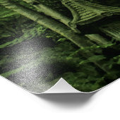 Canopy Lushness @ Madeira Portugal Foto (Ecke)