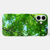 Canopy of Green, Leafy Branches with Blue Sky Case-Mate iPhone Hülle (Rückseite (Horizontal))