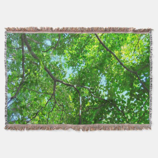 Canopy of Green, Leafy Branches with Blue Sky Decke (Vorderseite)