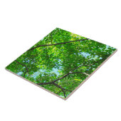 Canopy of Green, Leafy Branches with Blue Sky Fliese (Seite)