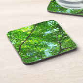Canopy of Green, Leafy Branches with Blue Sky Getränkeuntersetzer (Linke Seite)