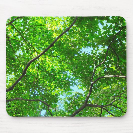 Canopy of Green, Leafy Branches with Blue Sky Mousepad (Vorne)