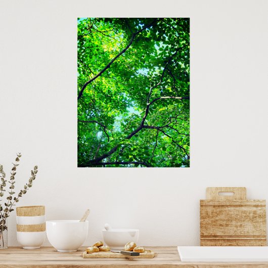 Canopy of Green, Leafy Branches with Blue Sky Poster (Küche)