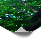 Canopy of Green, Leafy Branches with Blue Sky Poster (Ecke)