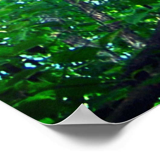 Canopy of Green, Leafy Branches with Blue Sky Poster (Ecke)