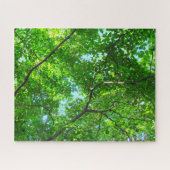 Canopy of Green, Leafy Branches with Blue Sky Puzzle (Horizontal)