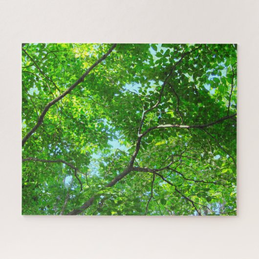Canopy of Green, Leafy Branches with Blue Sky Puzzle (Horizontal)