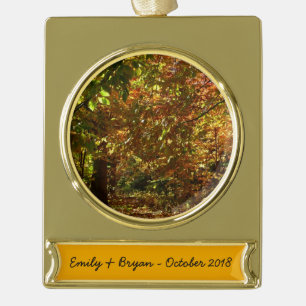 Canopy of Herbstlaubs II Gelbe Herbstfotografie Banner-Ornament Gold
