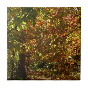 Canopy of Herbstlaubs II Gelbe Herbstfotografie Fliese