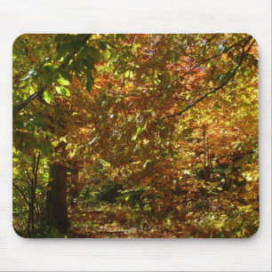 Canopy of Herbstlaubs II Gelbe Herbstfotografie Mousepad
