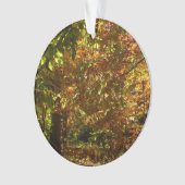 Canopy of Herbstlaubs II Gelbe Herbstfotografie Ornament (Vorderseite)