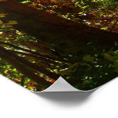 Canopy of Herbstlaubs II Gelbe Herbstfotografie Poster (Ecke)