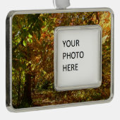 Canopy of Herbstlaubs II Gelbe Herbstfotografie Rahmen-Ornament Silber (Rechts)