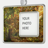 Canopy of Herbstlaubs II Gelbe Herbstfotografie Rahmen-Ornament Silber (Links)