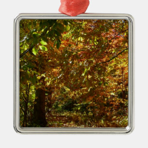 Canopy of Herbstlaubs II Gelbe Herbstfotografie Silbernes Ornament